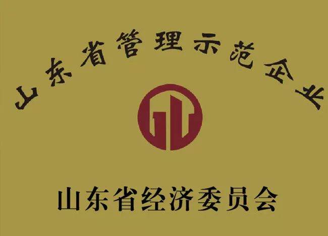 山东省管理示范企业